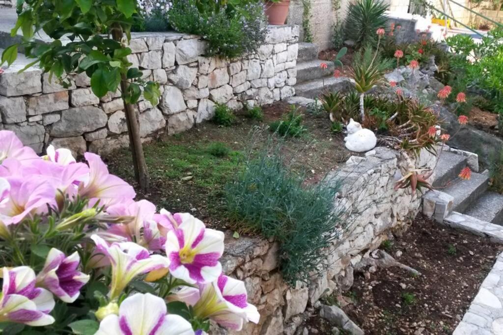 Mljet 2 You - Seafront Apartment 2+2 Sobra Exterior photo
